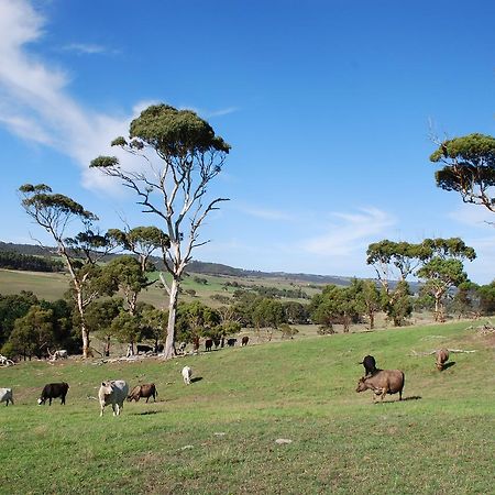 Back Valley Farmstay Bed And Breakfast Victor Harbor Bagian luar foto