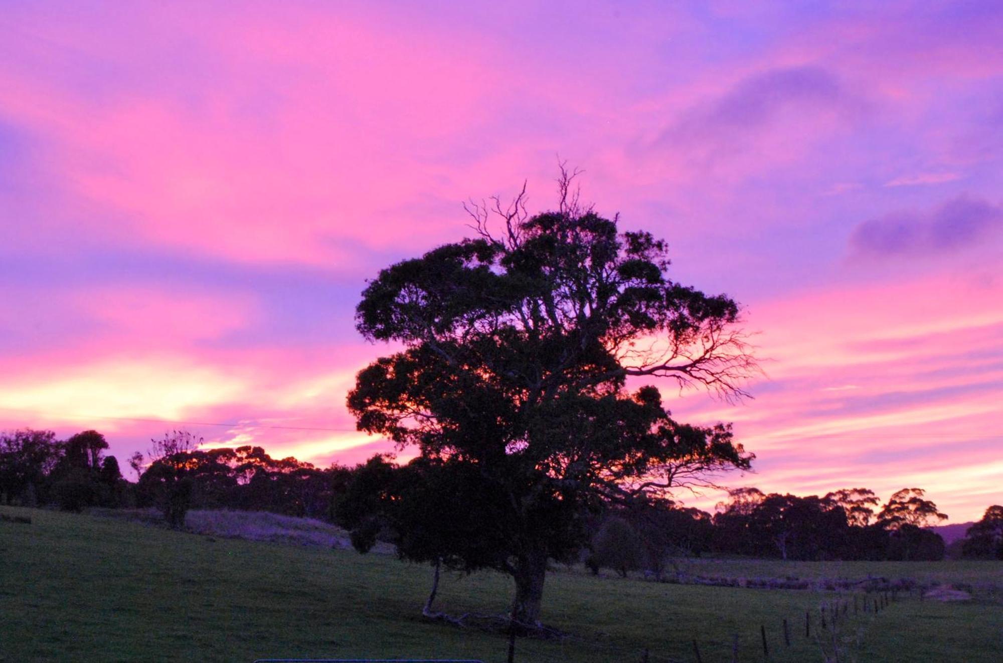 Back Valley Farmstay Bed And Breakfast Victor Harbor Bagian luar foto