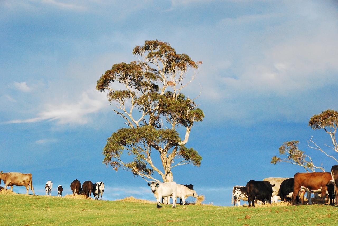 Back Valley Farmstay Bed And Breakfast Victor Harbor Bagian luar foto